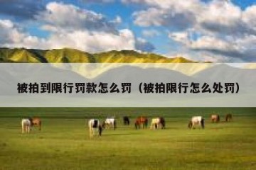 被拍到限行罚款怎么罚（被拍限行怎么处罚）