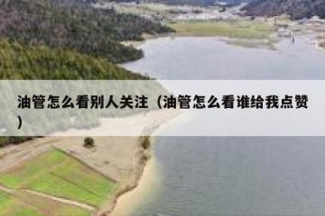油管怎么看别人关注（油管怎么看谁给我点赞）