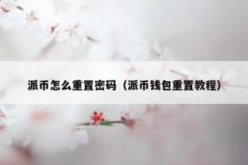 派币怎么重置密码（派币钱包重置教程）