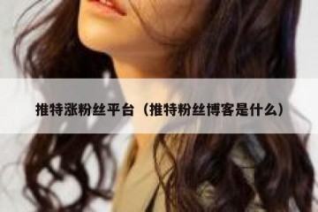 推特涨粉丝平台（推特粉丝博客是什么）