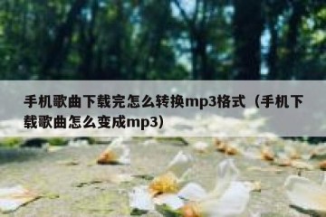 手机歌曲下载完怎么转换mp3格式（手机下载歌曲怎么变成mp3）