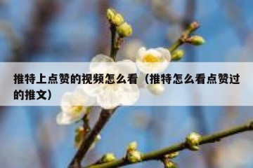 推特上点赞的视频怎么看（推特怎么看点赞过的推文）