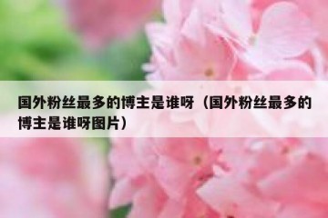 国外粉丝最多的博主是谁呀（国外粉丝最多的博主是谁呀图片）