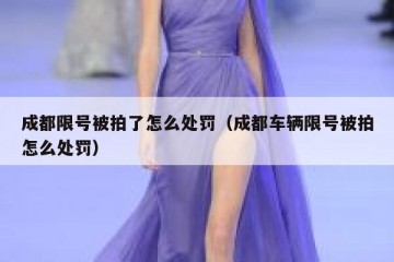 成都限号被拍了怎么处罚（成都车辆限号被拍怎么处罚）