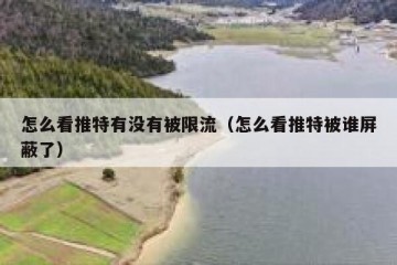 怎么看推特有没有被限流（怎么看推特被谁屏蔽了）