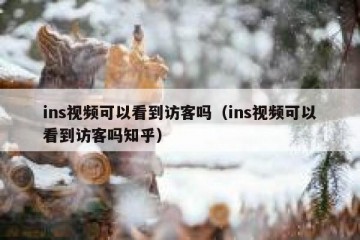 ins视频可以看到访客吗（ins视频可以看到访客吗知乎）