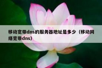 移动宽带dns的服务器地址是多少（移动网络宽带dns）