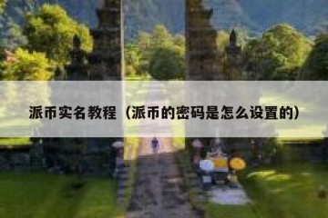 派币实名教程（派币的密码是怎么设置的）
