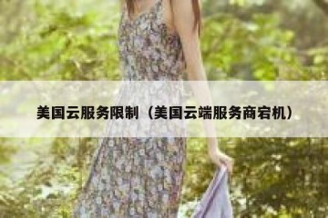 美国云服务限制（美国云端服务商宕机）
