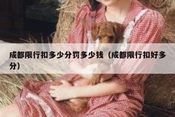 成都限行扣多少分罚多少钱（成都限行扣好多分）