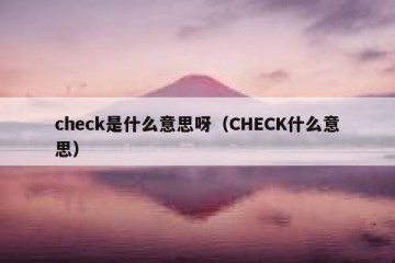 check是什么意思呀（CHECK什么意思）