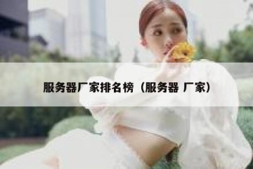 服务器厂家排名榜（服务器 厂家）