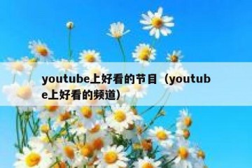 youtube上好看的节目（youtube上好看的频道）