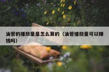 油管的播放量是怎么算的（油管播放量可以赚钱吗）