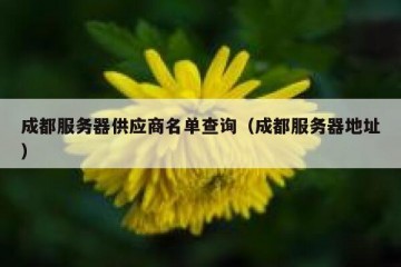 成都服务器供应商名单查询（成都服务器地址）