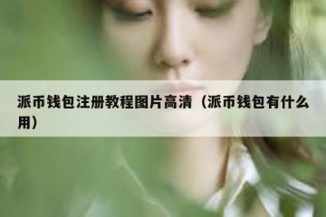 派币钱包注册教程图片高清（派币钱包有什么用）