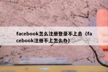 facebook怎么注册登录不上去（facebook注册不上怎么办）