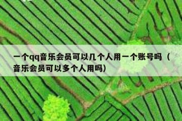 一个qq音乐会员可以几个人用一个账号吗（音乐会员可以多个人用吗）