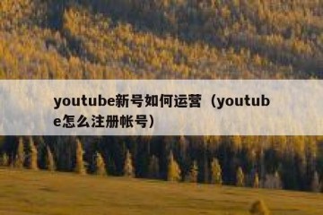 youtube新号如何运营（youtube怎么注册帐号）