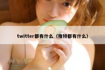 twitter都有什么（推特都有什么）