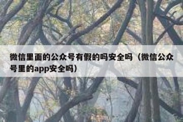 微信里面的公众号有假的吗安全吗（微信公众号里的app安全吗）