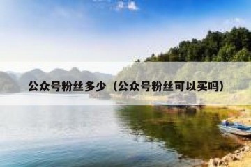 公众号粉丝多少（公众号粉丝可以买吗）