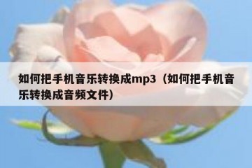 如何把手机音乐转换成mp3（如何把手机音乐转换成音频文件）