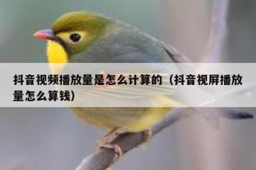 抖音视频播放量是怎么计算的（抖音视屏播放量怎么算钱）