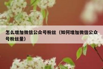 怎么增加微信公众号粉丝（如何增加微信公众号粉丝量）