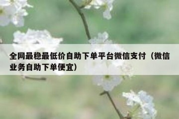 全网最稳最低价自助下单平台微信支付（微信业务自助下单便宜）