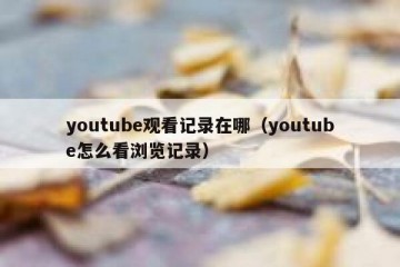 youtube观看记录在哪（youtube怎么看浏览记录）
