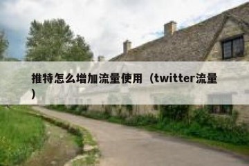 推特怎么增加流量使用（twitter流量）