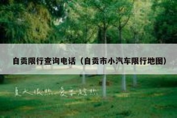 自贡限行查询电话（自贡市小汽车限行地图）