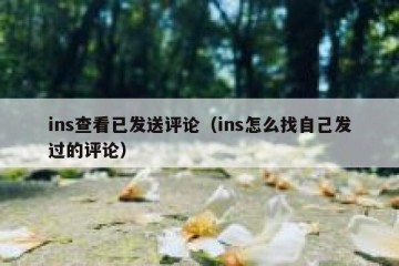ins查看已发送评论（ins怎么找自己发过的评论）