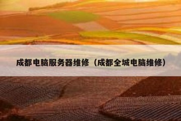 成都电脑服务器维修（成都全城电脑维修）