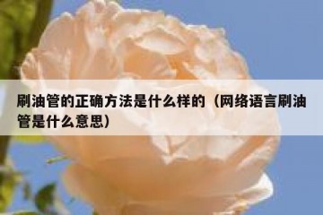 刷油管的正确方法是什么样的（网络语言刷油管是什么意思）