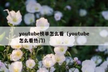 youtube榜单怎么看（youtube怎么看热门）