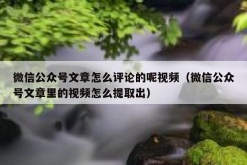 微信公众号文章怎么评论的呢视频（微信公众号文章里的视频怎么提取出）