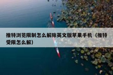 推特浏览限制怎么解除英文版苹果手机（推特受限怎么解）