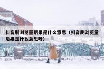 抖音刷浏览量后果是什么意思（抖音刷浏览量后果是什么意思呀）