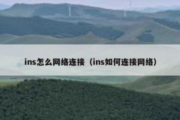 ins怎么网络连接（ins如何连接网络）