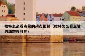 推特怎么看点赞的动态视频（推特怎么看点赞的动态视频呢）