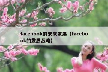 facebook的未来发展（facebook的发展战略）