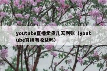 youtube直播卖货几天到账（youtube直播有收益吗）