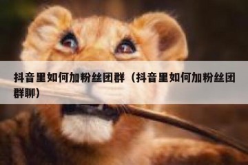 抖音里如何加粉丝团群（抖音里如何加粉丝团群聊）