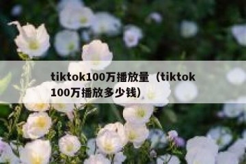 tiktok100万播放量（tiktok100万播放多少钱）