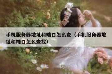 手机服务器地址和端口怎么查（手机服务器地址和端口怎么查找）