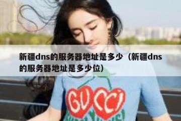 新疆dns的服务器地址是多少（新疆dns的服务器地址是多少位）