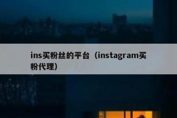 ins买粉丝的平台（instagram买粉代理）