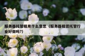 服务器托管租用什么意思（服务器租赁托管行业好做吗?）
